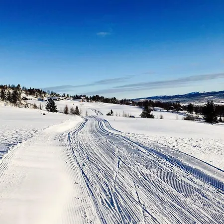 Hytte / Storefjell *